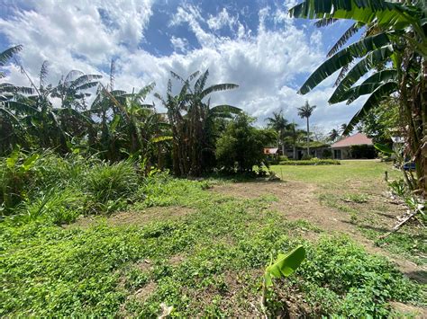 batangas lot for sale|Batangas .